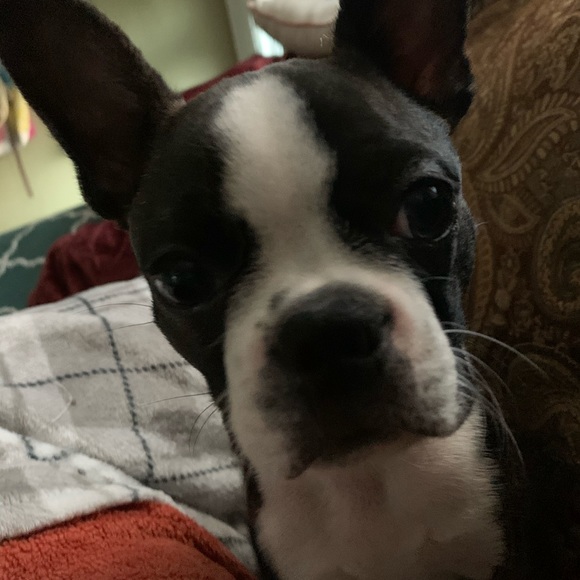 Meet your Posher, Andrea - Picture 6 of 7